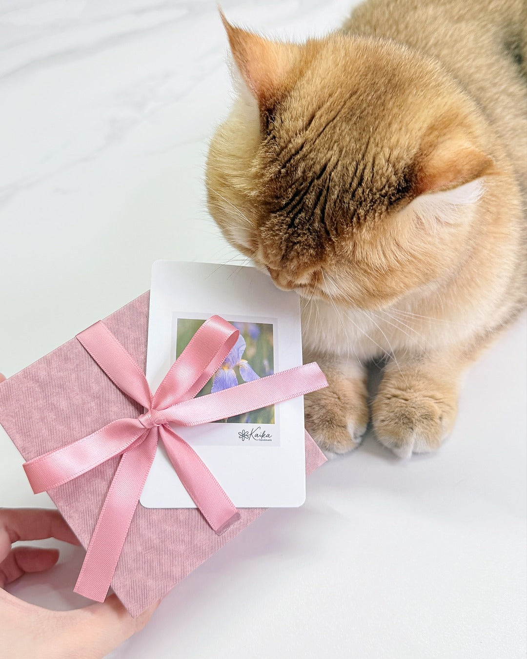 *Gift Box*